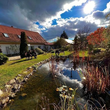 Bed and Breakfast Pilisi Lovas Major, Dorog Экстерьер фото